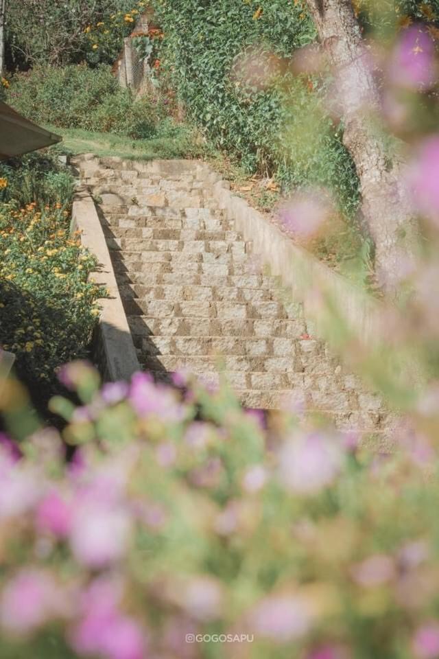 Biet Thu Trang Da Lat 빌라 외부 사진