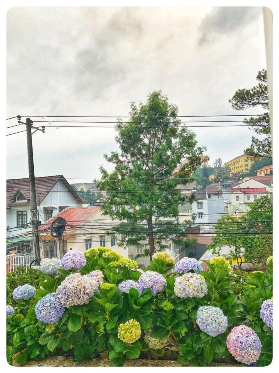 Biet Thu Trang Da Lat 빌라 외부 사진